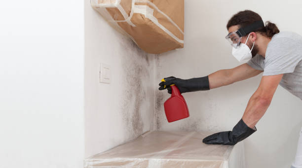 Professional Basement Mold Remediation technician working in Teterboro, NJ